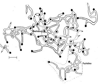 Skizze groer Dachs und Fuchsbau